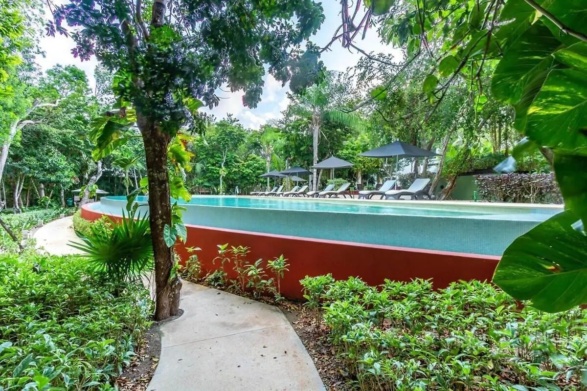הוילה אקומל Private Terrace With Plunge Pool L Sat Tv L Beach Access מקסיקו